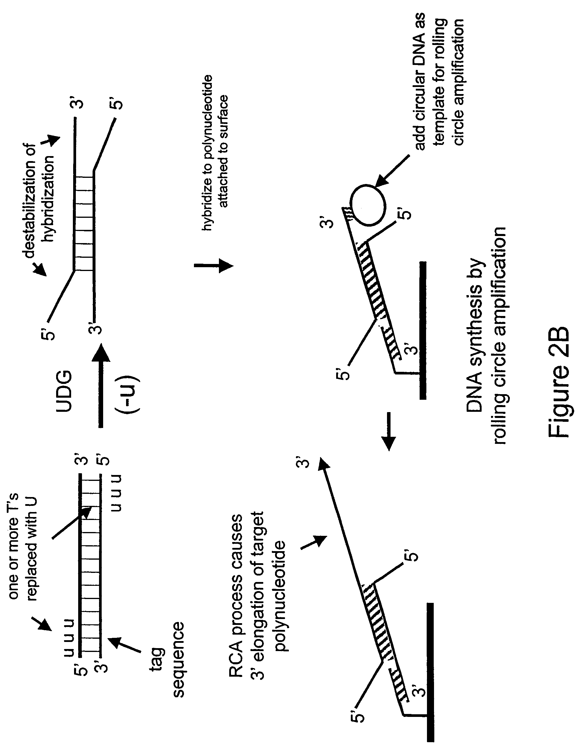 Nucleic acid hybridization methods