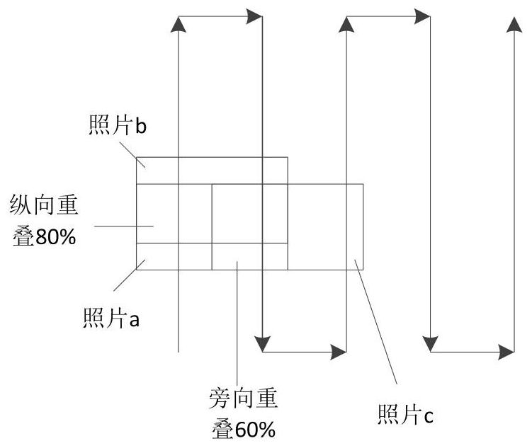 Tea yield prediction system and method