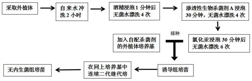 Control method of plant tissue culture seedling endophytes