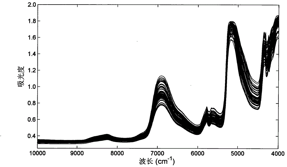 Method for detecting microbe quantity and drug content of semisolid preparation through near infrared spectroscopy