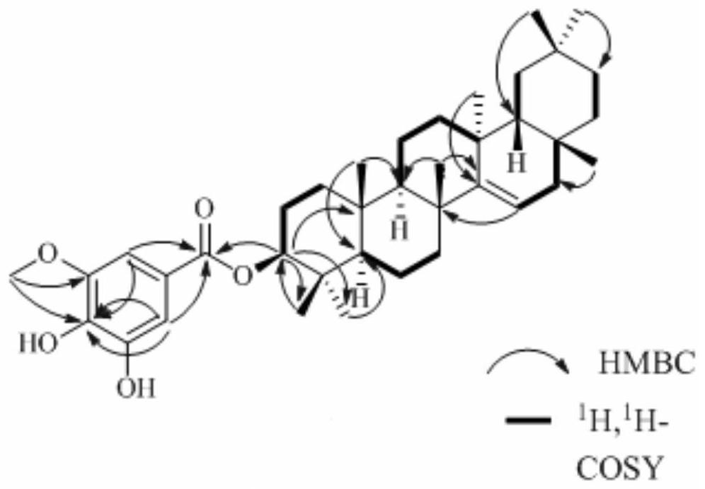 A kind of triterpenoid compound in Chengguang flower and its preparation method and application