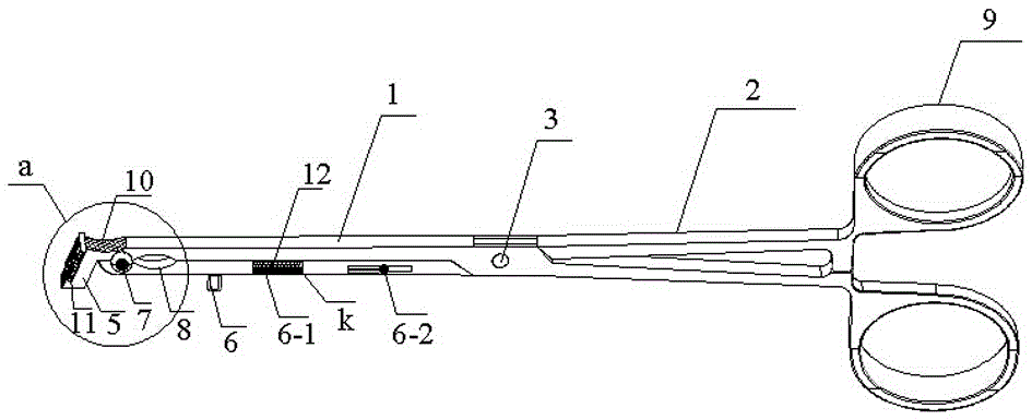 A kind of molar band pliers