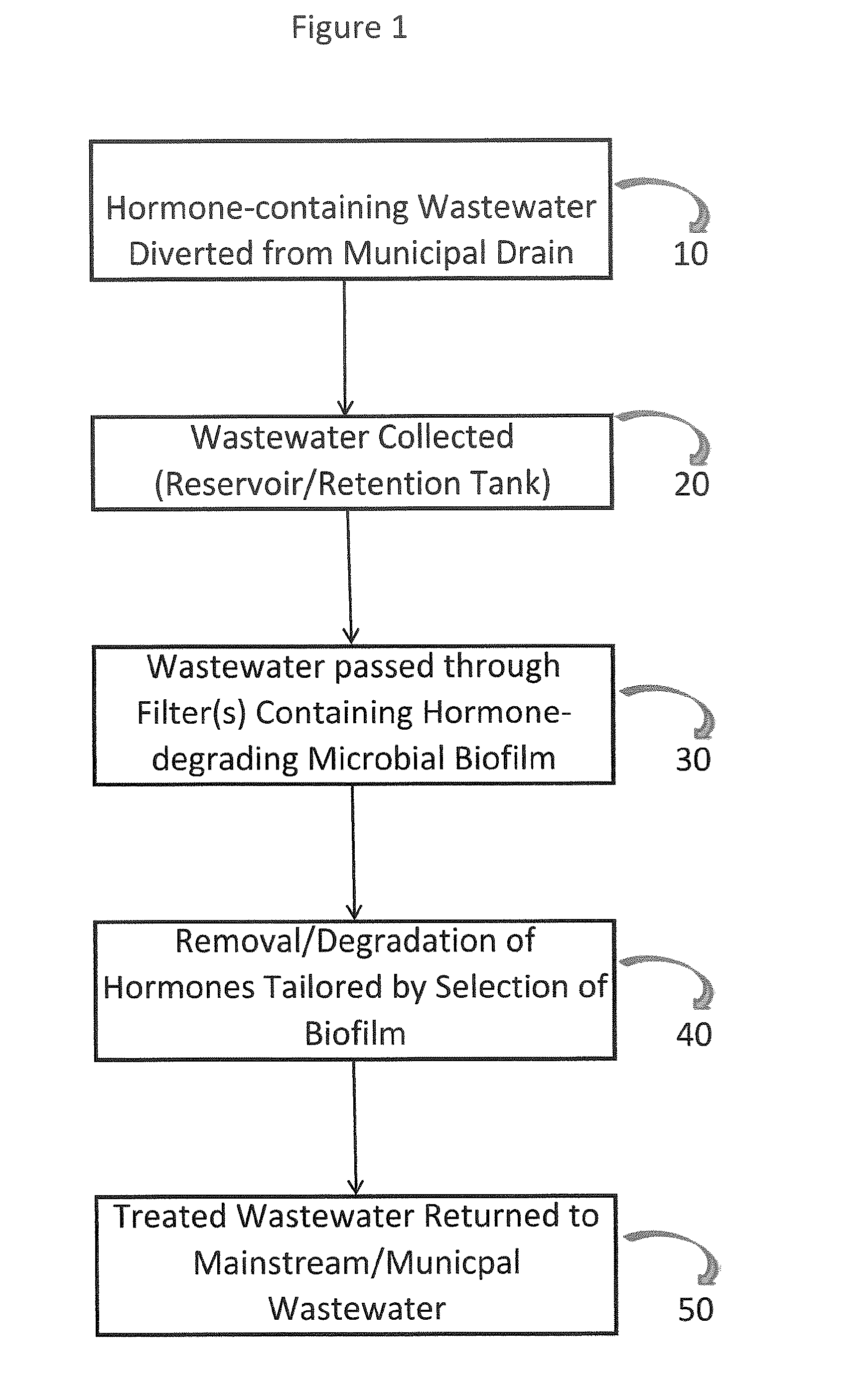 Point of generation small volume bioreactor for hormone and endocrine disrupting chemical remediation