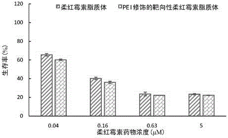 Functional targeting vector material distearoyl phosphatidylethanolamine-polyethylene glycol-polyethylenimine compound and modified liposome thereof