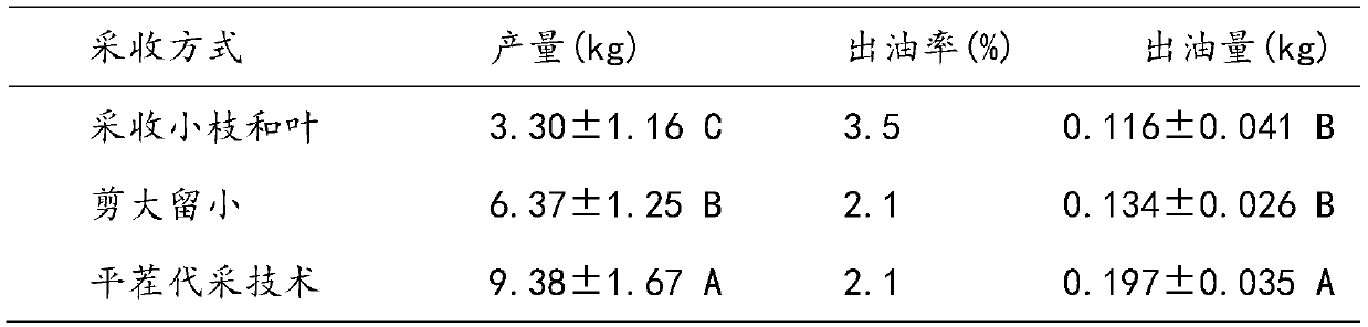 Method of replacing harvesting with stubble levelling for cinnamomum subavenium Miq.