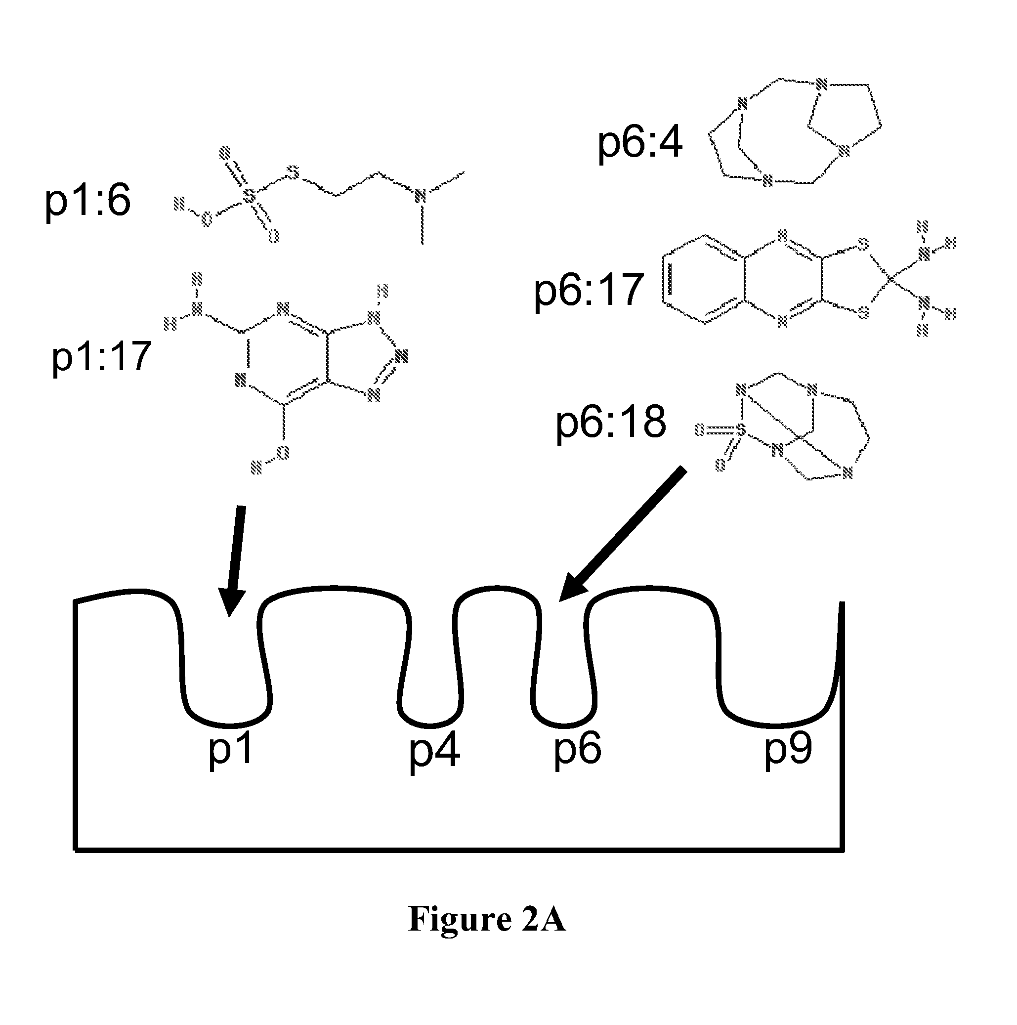 Compounds that modulate autoimmunity and methods of using the same