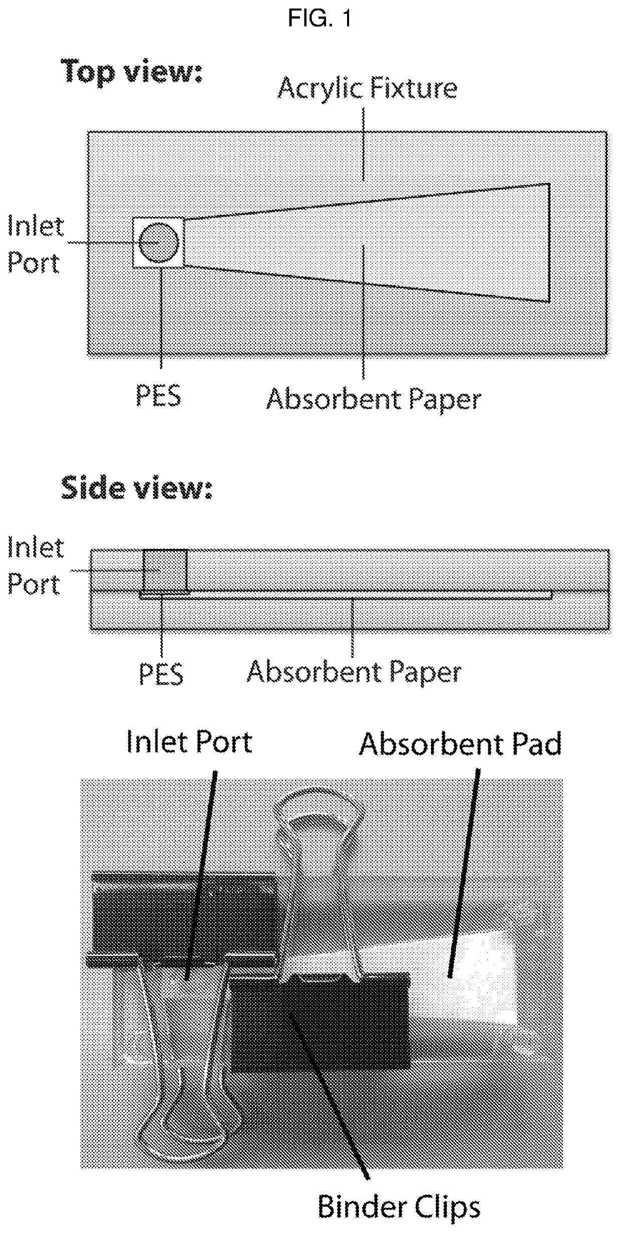 Detection device having capture region and detection region