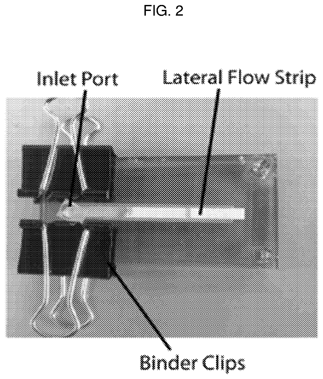 Detection device having capture region and detection region