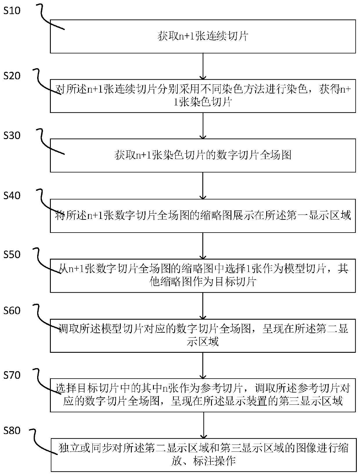 Comparison display method for different dyed sections, electronic equipment and readable medium