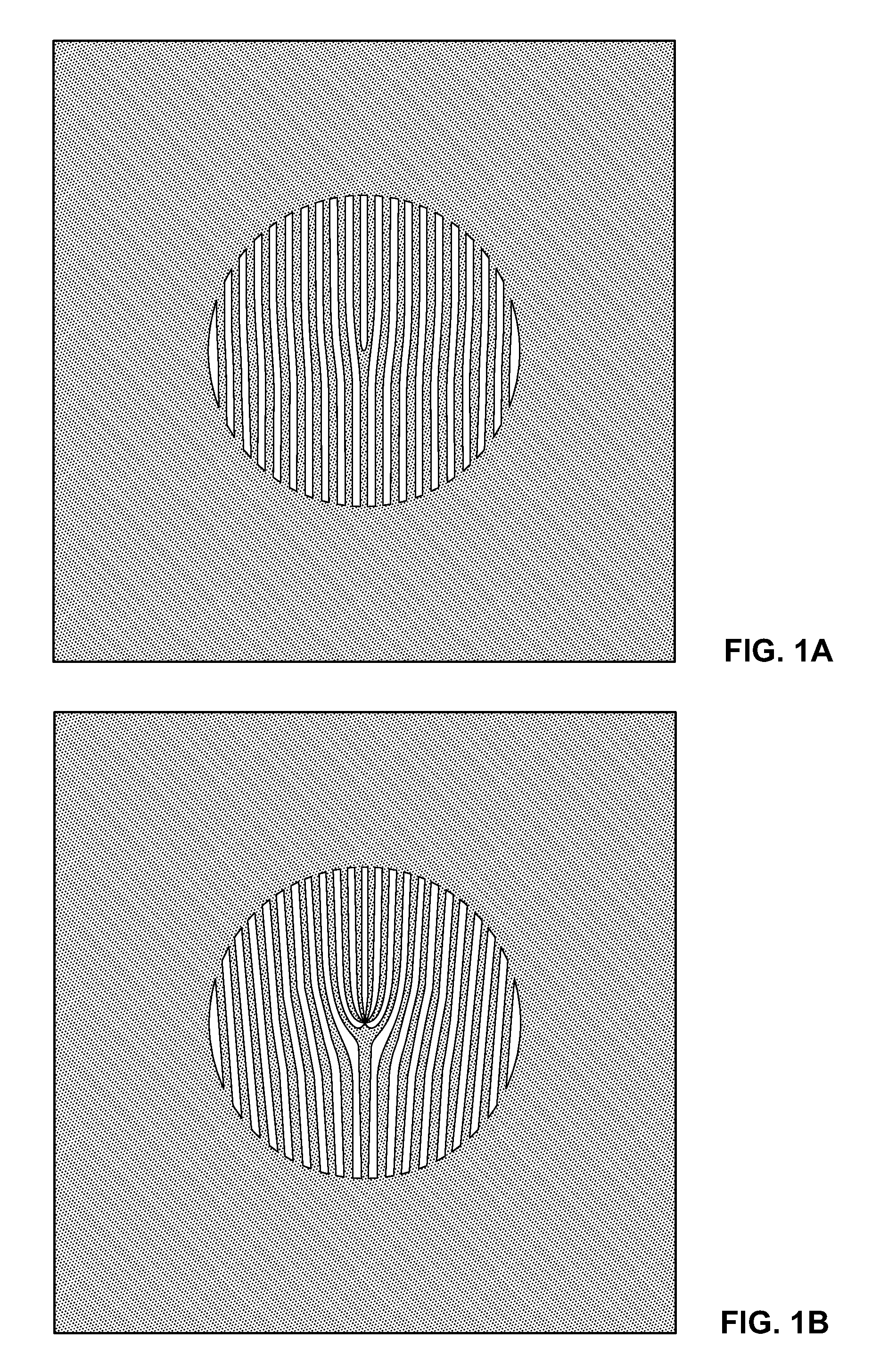 System and method for producing and using multiple electron beams with quantized orbital angular momentum in an electron microscope