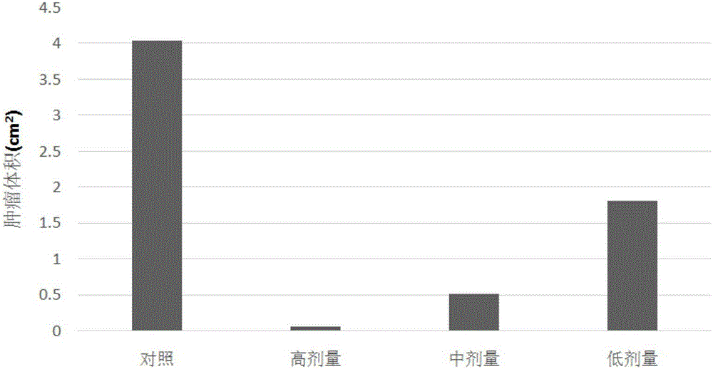 Rhodiola rosea compound effervescent tablet with lung cancer preventing effect and preparation method thereof