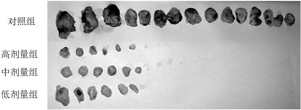 Rhodiola rosea compound effervescent tablet with lung cancer preventing effect and preparation method thereof