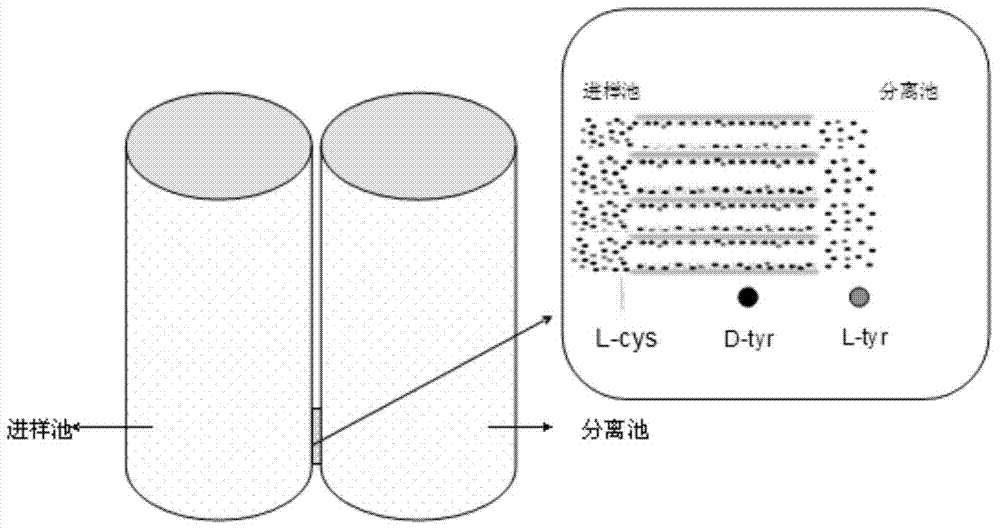 DL tyrosine chiral resolution and on-line detection method based on functional nano channel arrays