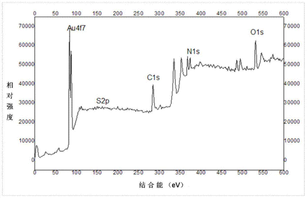 DL tyrosine chiral resolution and on-line detection method based on functional nano channel arrays