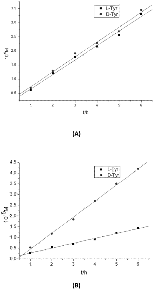 DL tyrosine chiral resolution and on-line detection method based on functional nano channel arrays