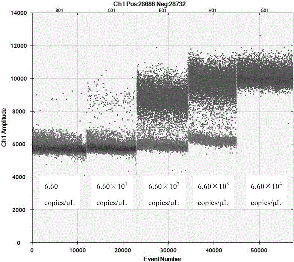 Kit and detection method for accurate quantitative detection of group A rotaviruses