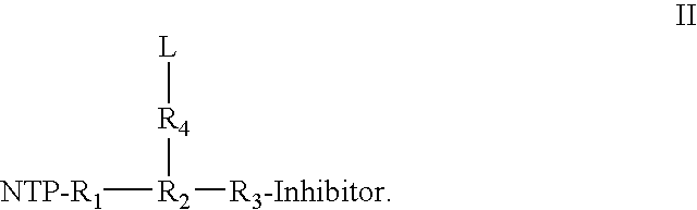 Nucleotide Analogs