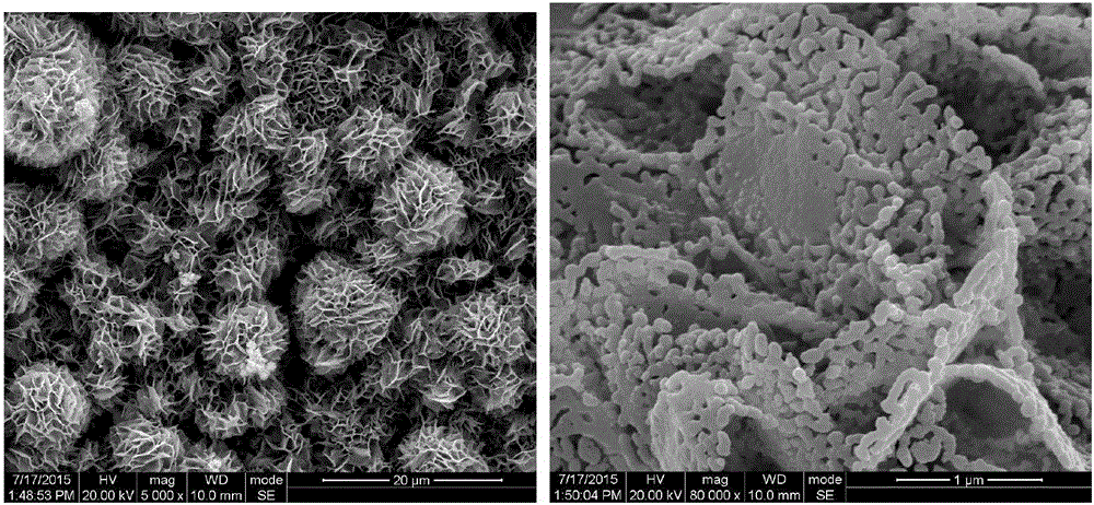 Flower-shaped copper oxide nanostructure material and preparation method thereof