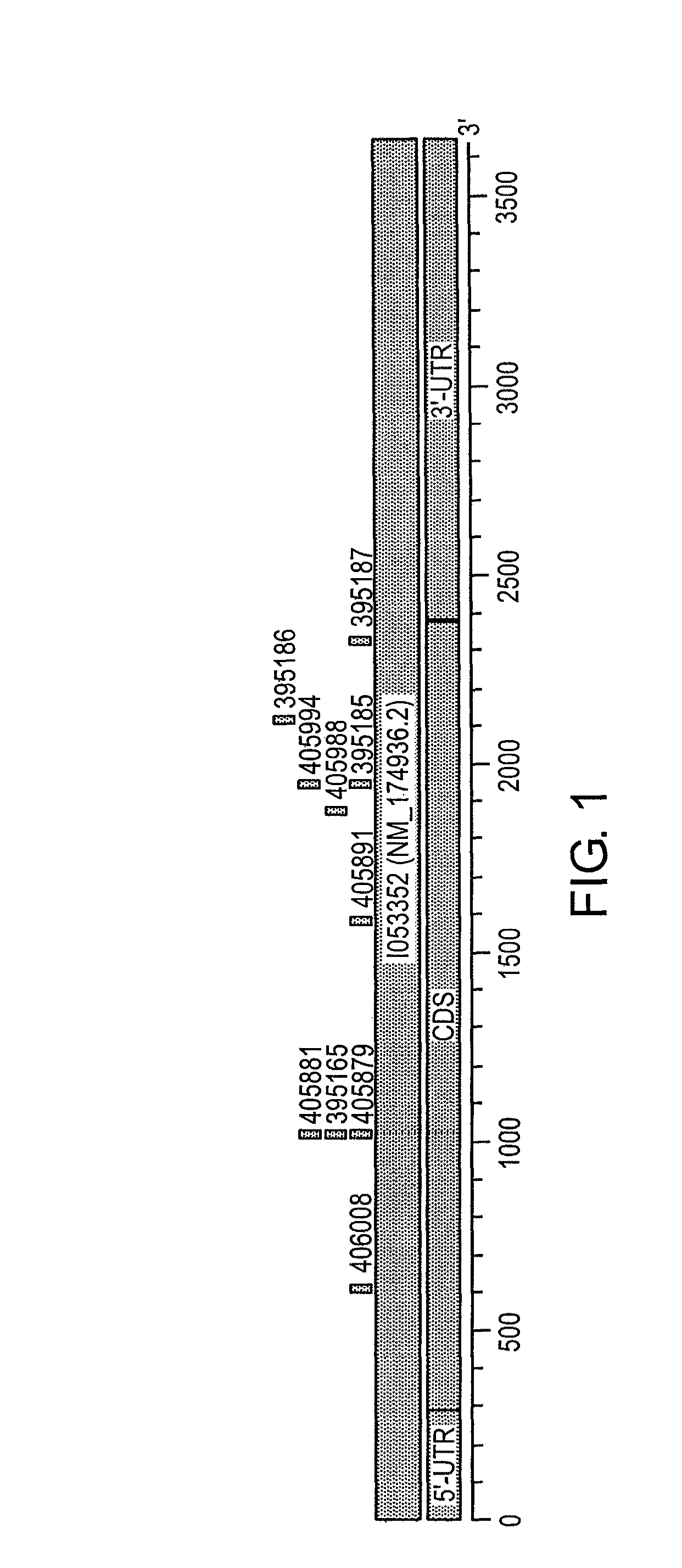 Methods for treating hypercholesterolemia