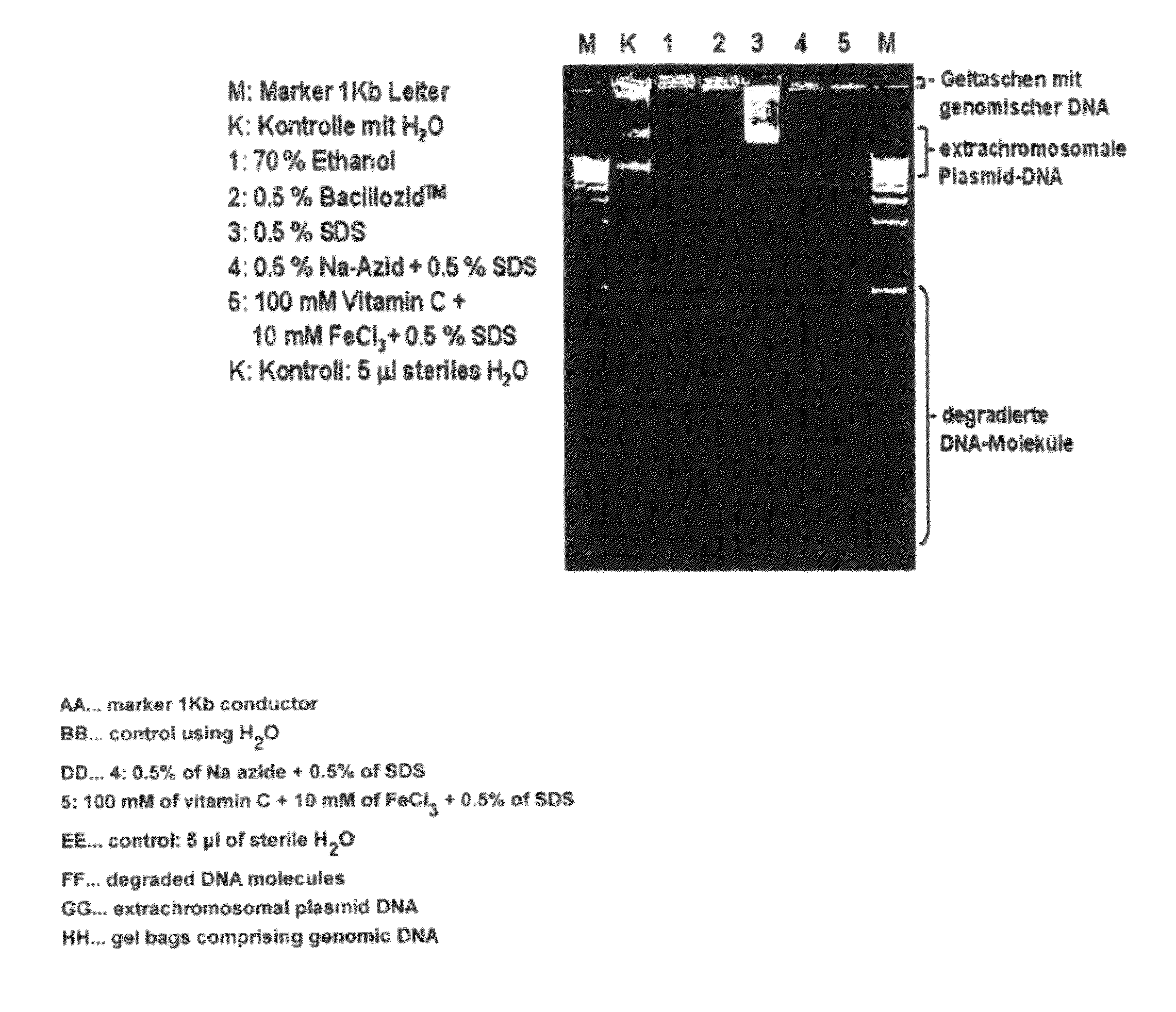 Use of a synergistic composition as a therapeutic agent of disinfectant