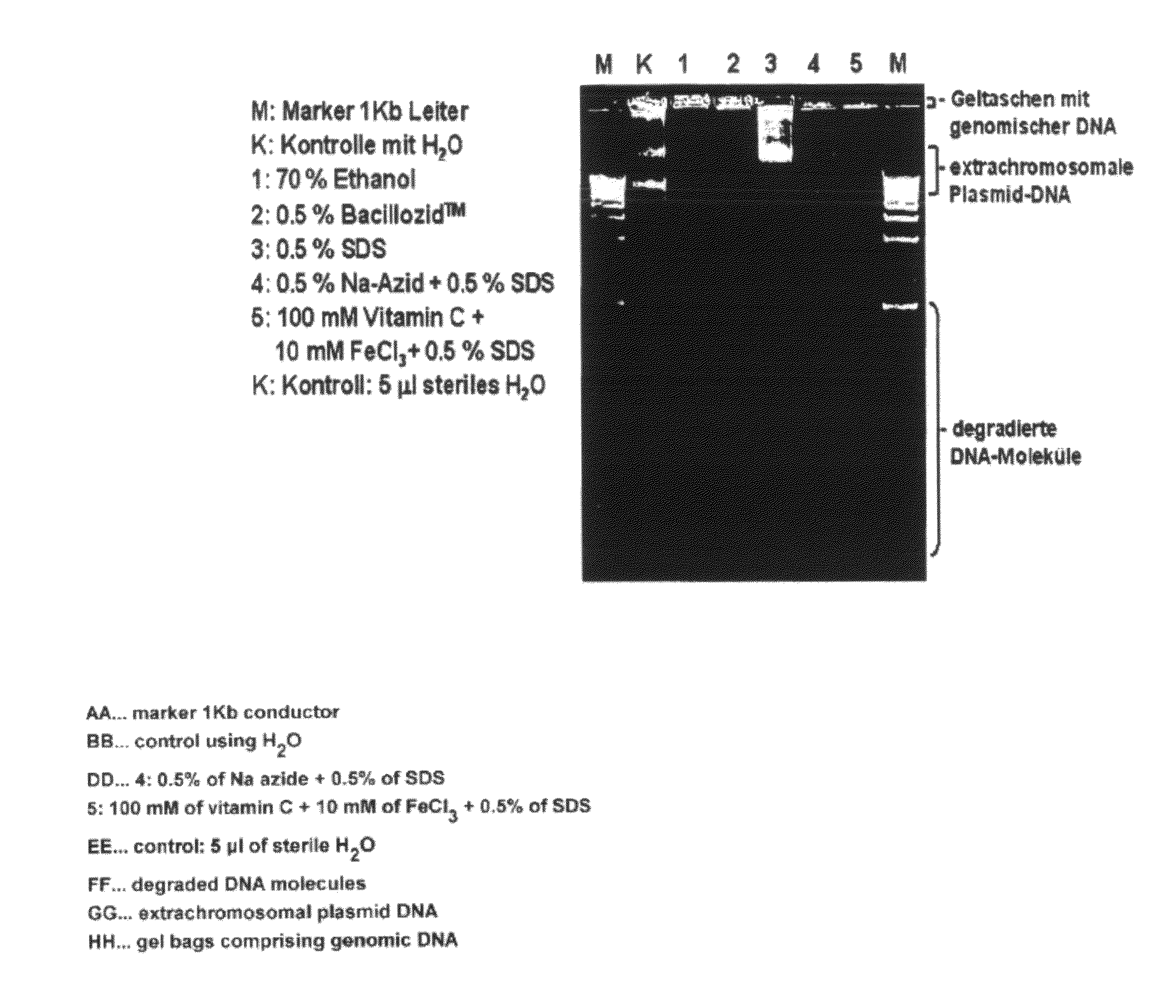 Use of a synergistic composition as a therapeutic agent of disinfectant