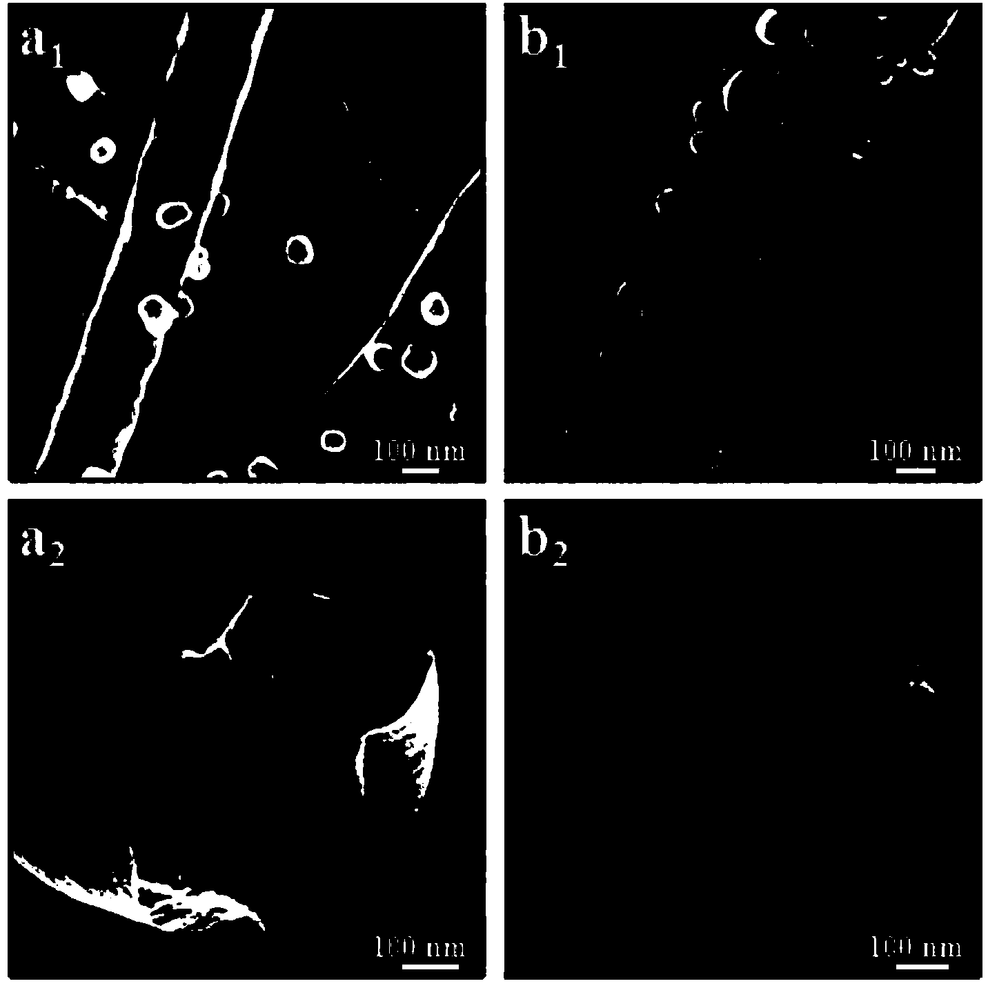 Bioactive porous hybrid carbon nanofiber material and preparation method thereof