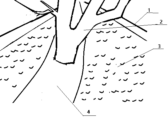 Method for quickly killing dasineura pyrivora larvae