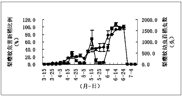 Method for quickly killing dasineura pyrivora larvae