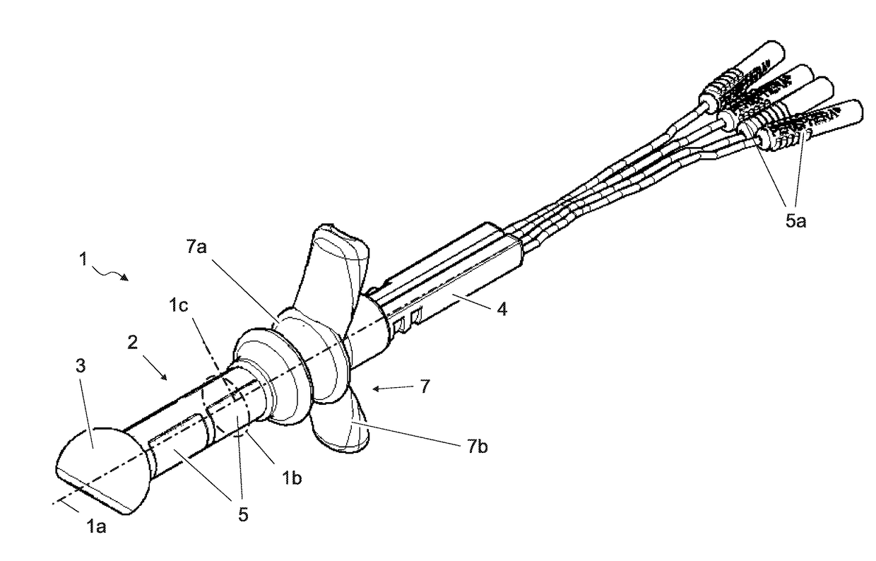 Perineal probe