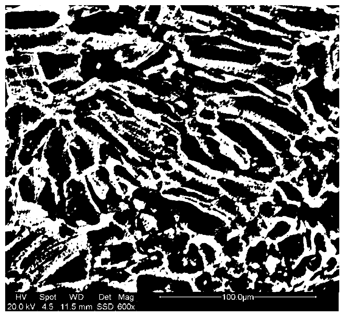 Coke particle biomembrane carrier and preparation method thereof