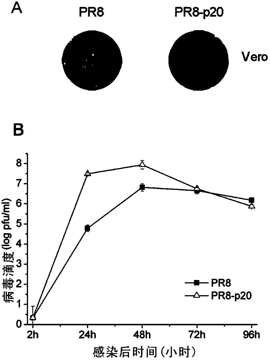 Acquisition method and adaptive sites of influenza A virus vaccine mammalian cell adaptive strain