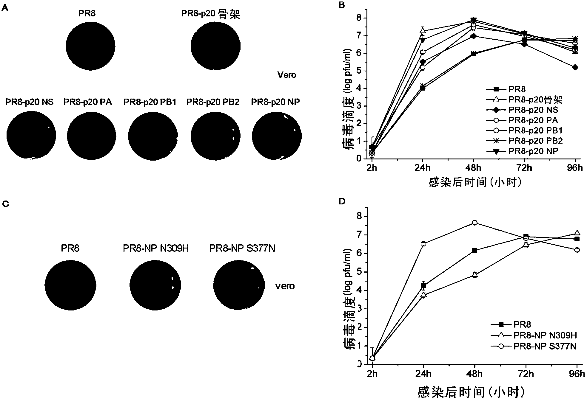 Acquisition method and adaptive sites of influenza A virus vaccine mammalian cell adaptive strain