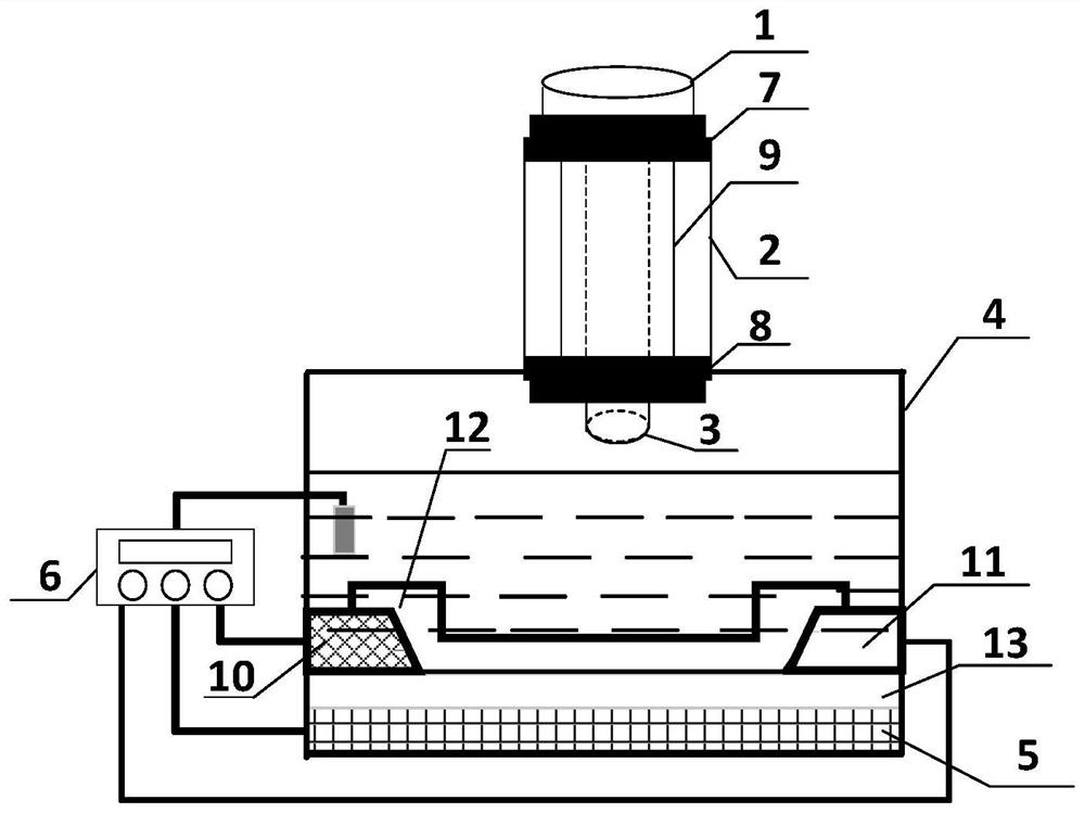 Micro blood detector and detection method for rapid detection of acute myocardial infarction markers