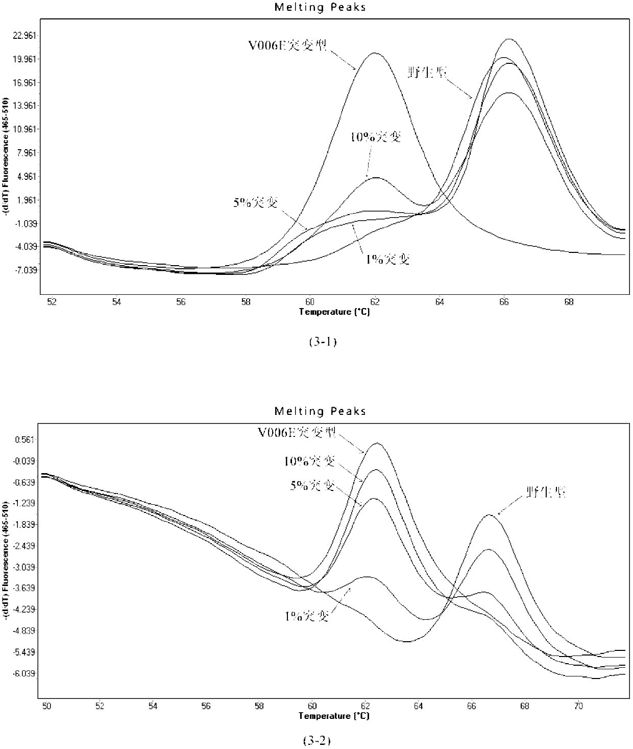 Method for detecting BRAF (block repeat active flag) gene mutation accurately based on probe fusion technology