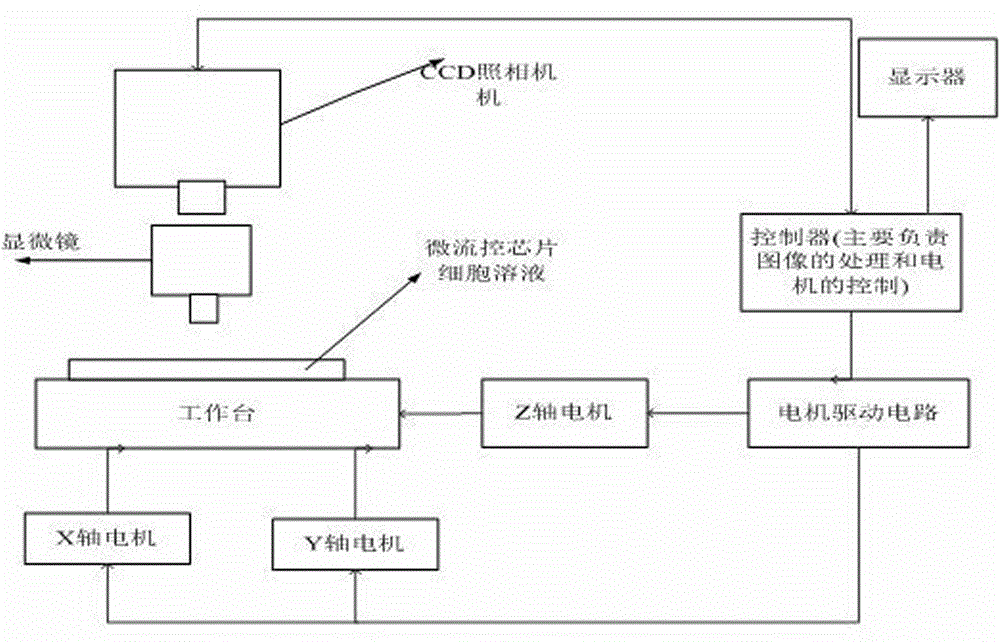 Image acquiring method and system for detecting single erythrocyte