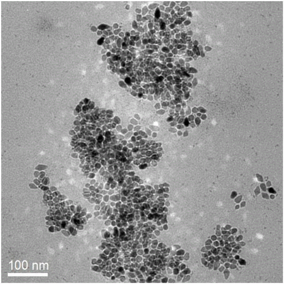 Preparation method of copper zinc tin sulfide nanocrystal with custerite structure