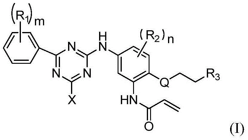 Phenyl substituted triazine compounds adopted as EGFR inhibitor, and applications thereof