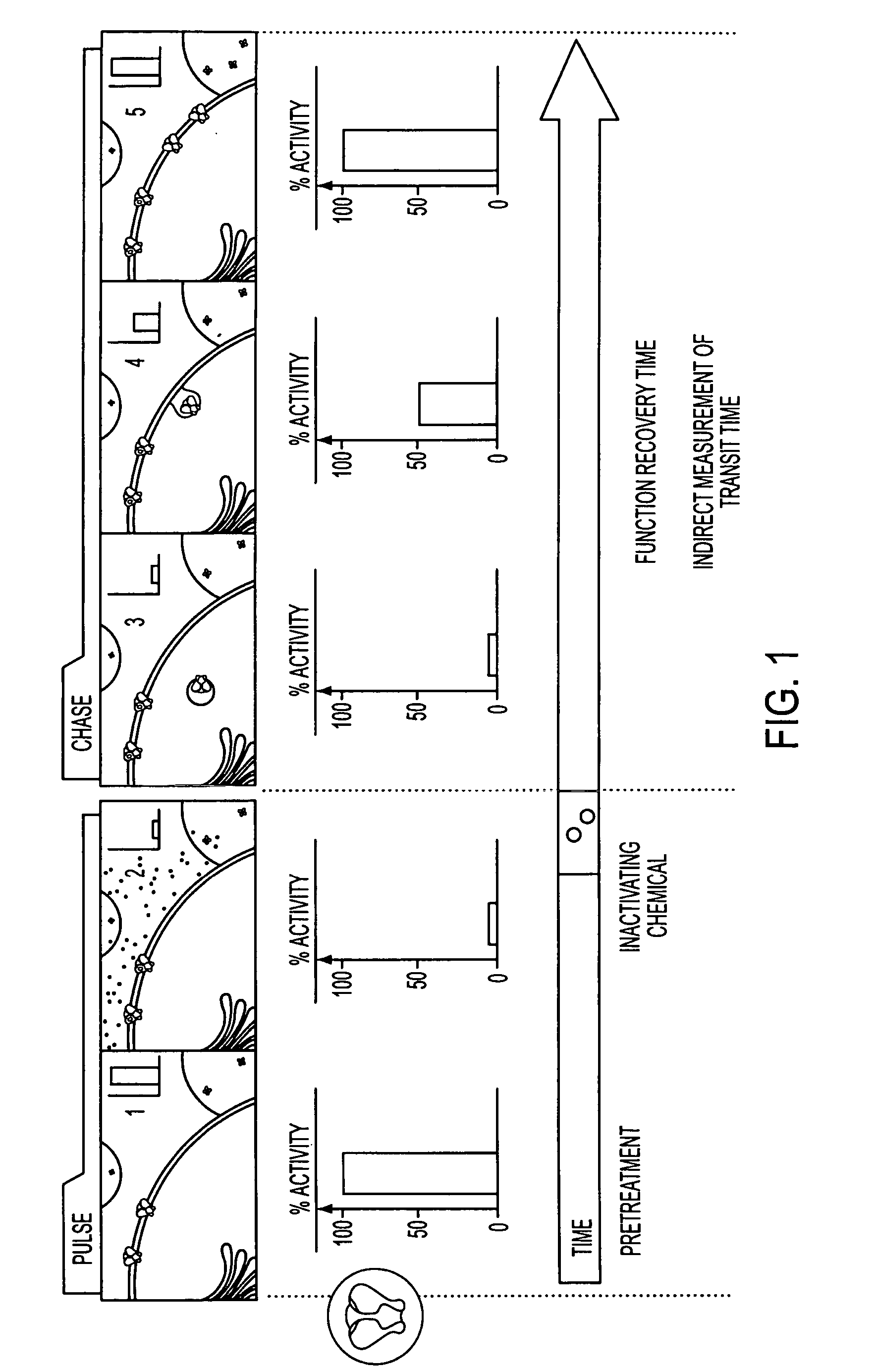 Method to assay test substances