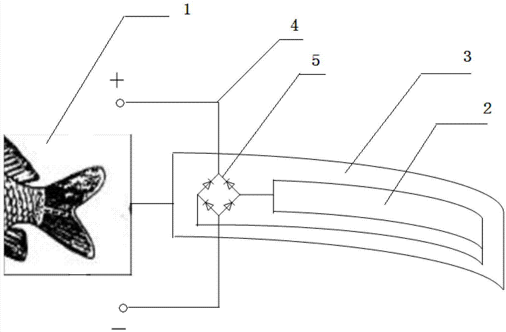 Underwater bio-robot fish system energy supply device based on piezoelectric material