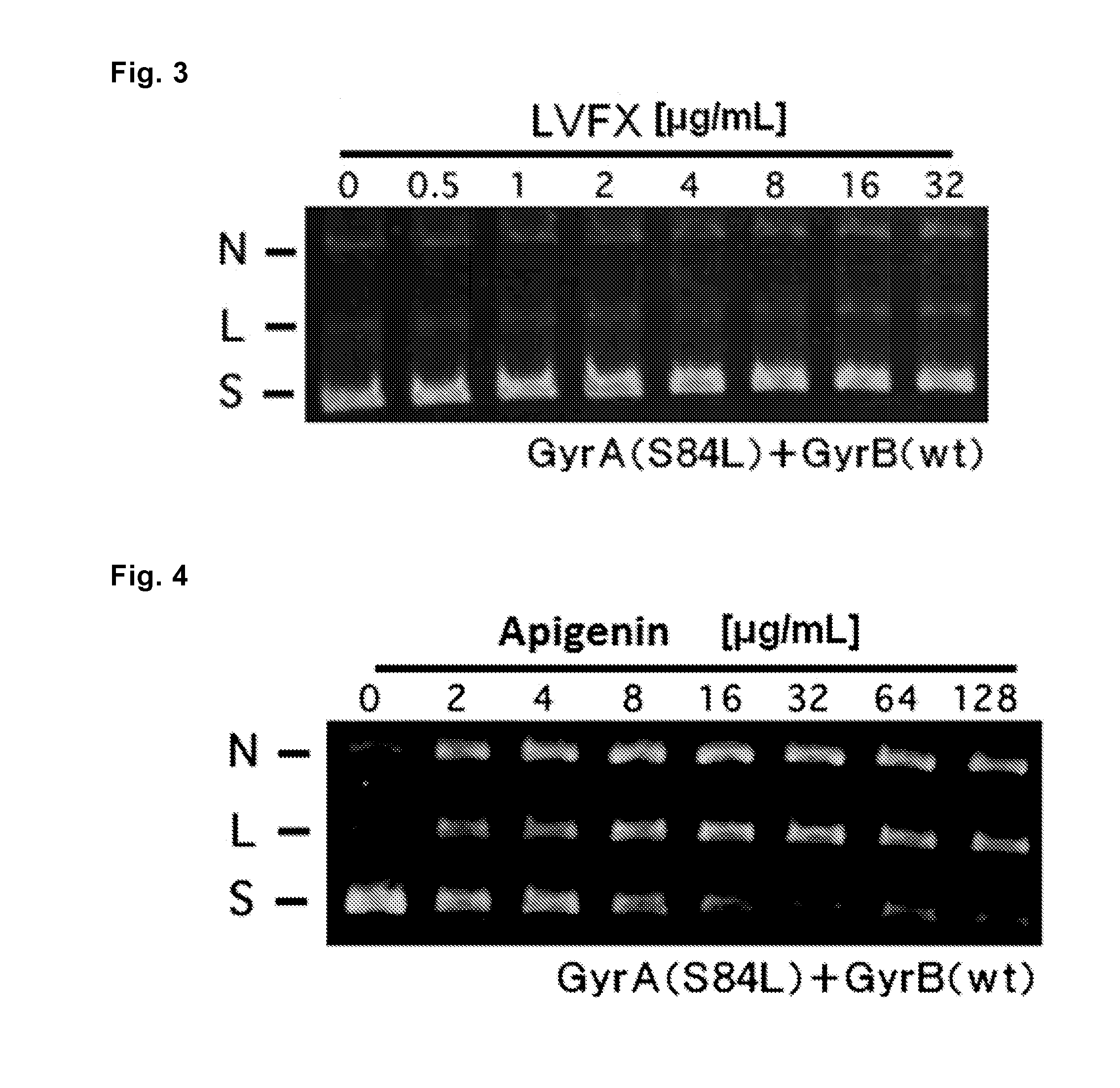 Antibacterial agent