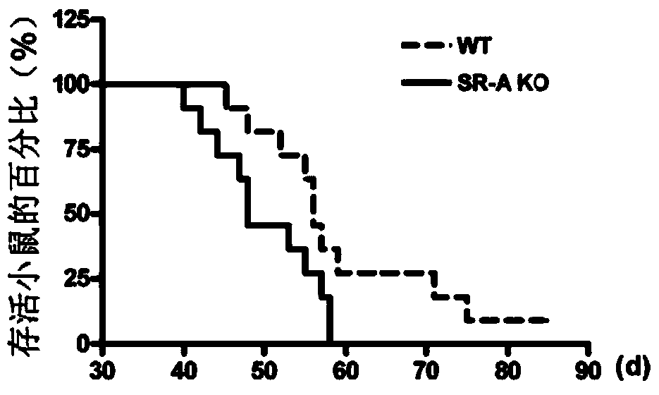 Application of serum amyloid protein A1