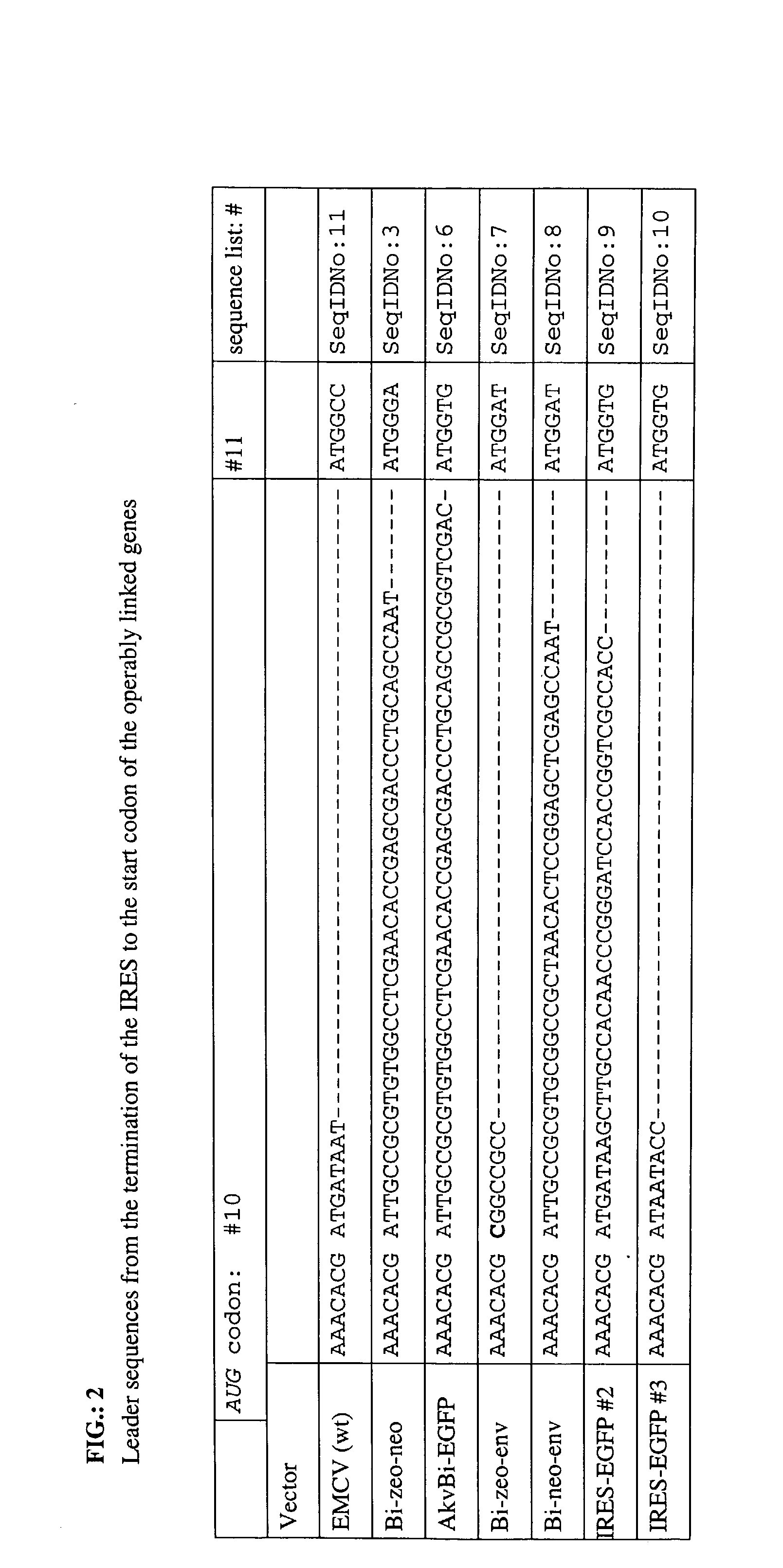 Expression of heterologous genes from an IRES translational cassette in retroviral vectors