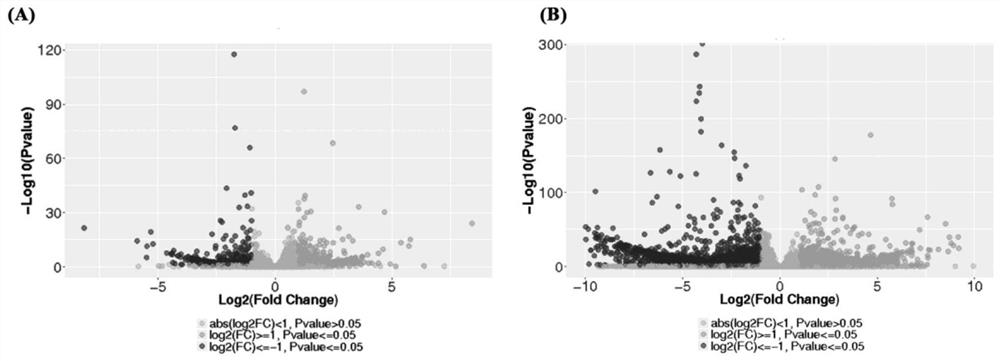 Fusobacterium nucleatum related oral epithelial cell tumor biomarker and screening application