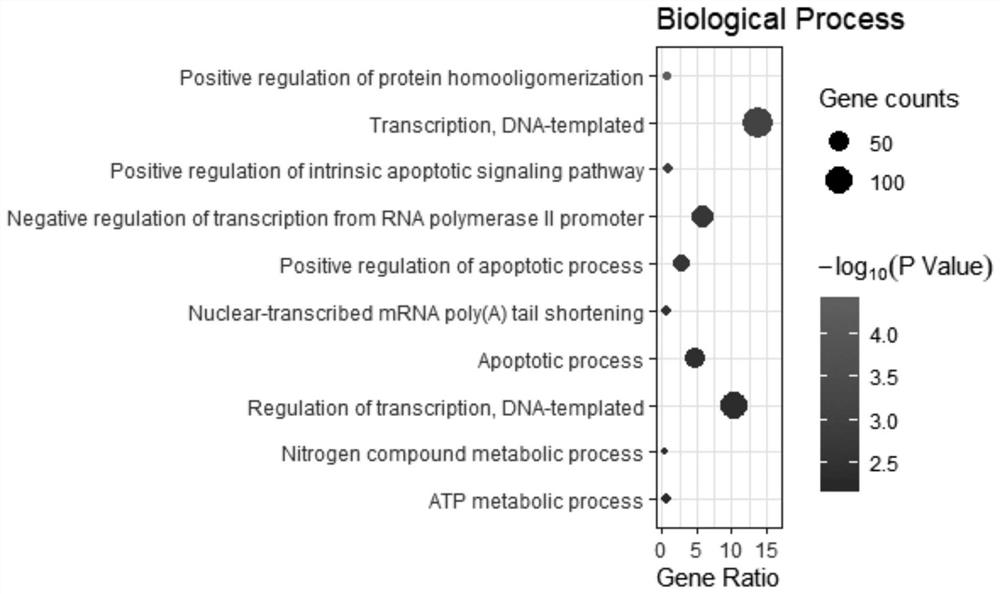 Fusobacterium nucleatum related oral epithelial cell tumor biomarker and screening application