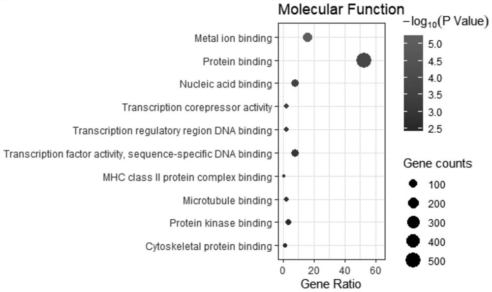 Fusobacterium nucleatum related oral epithelial cell tumor biomarker and screening application