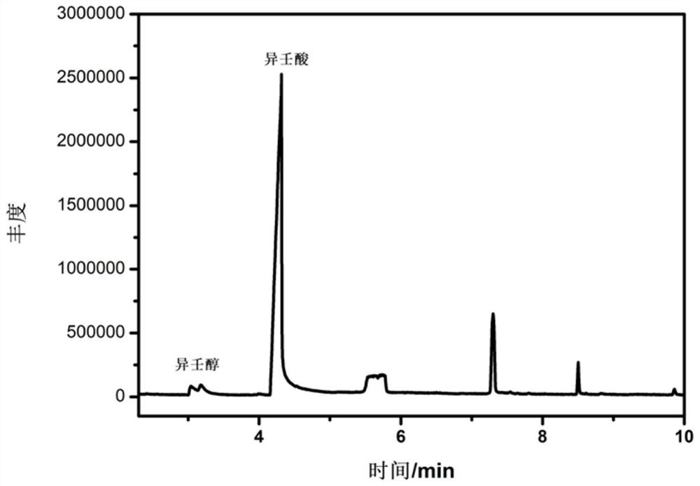 Catalyst for preparing isononanoic acid through catalytic oxidation of isononyl alcohol as well as preparation method and application thereof