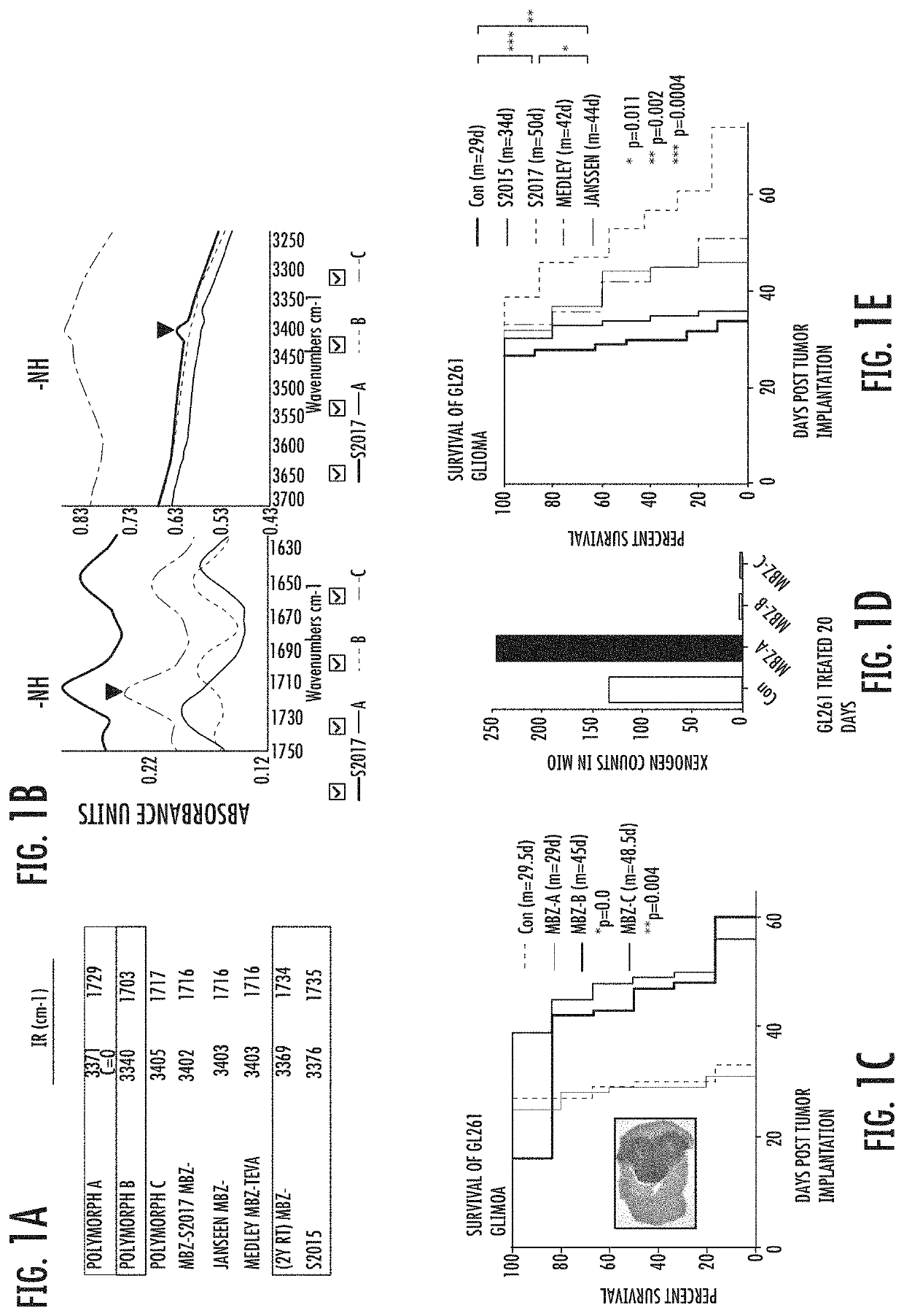 Mebendazole polymorph for treatment and prevention of tumors