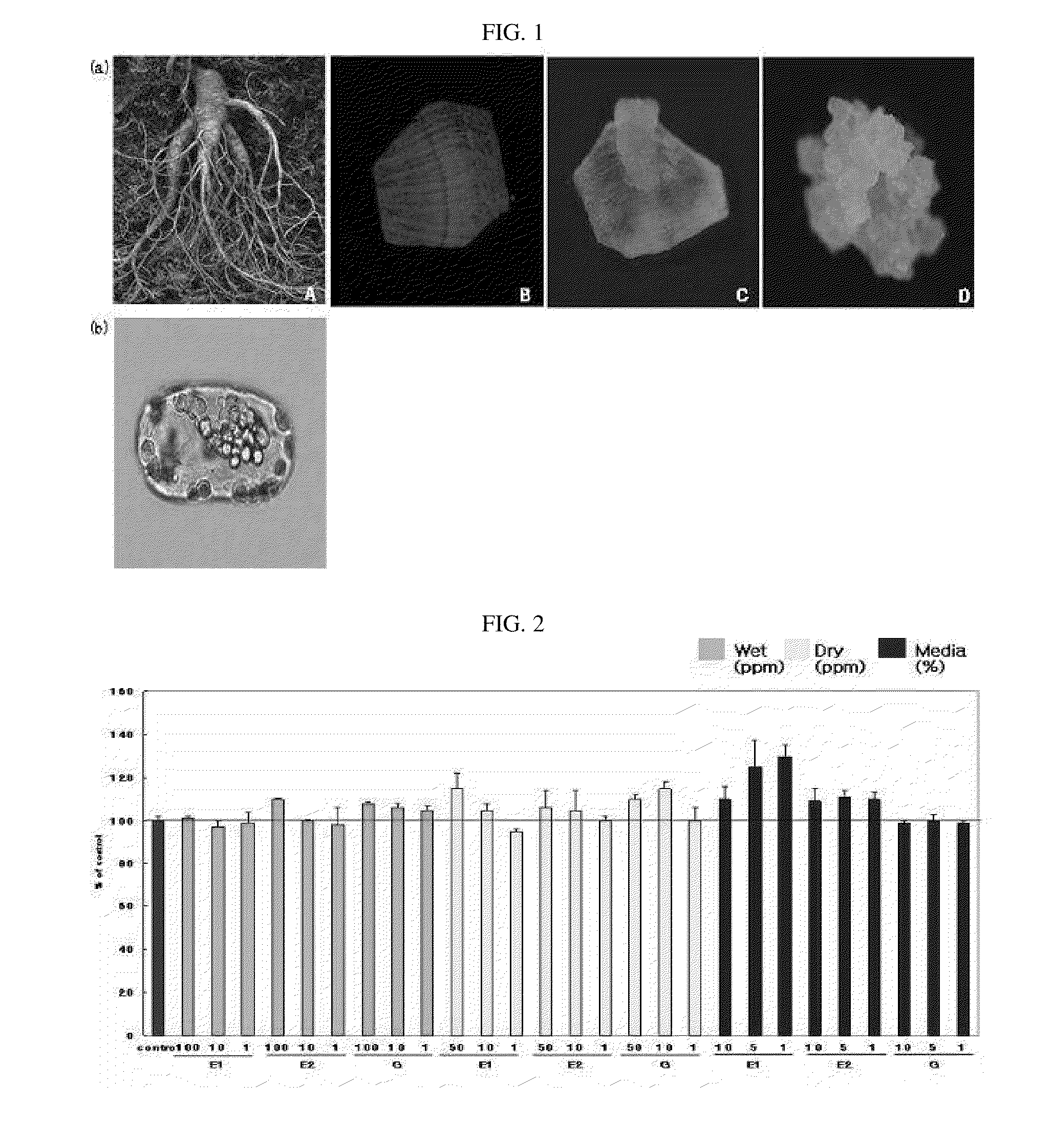 Anti-aging or antioxidant composition containing plant stem cell line derived from cambium of panax ginseng