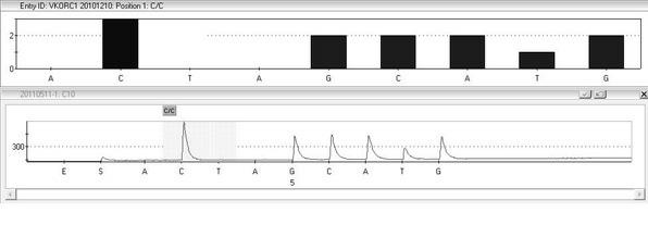 Kit and method for detecting gene polymorphism related to warfarin personalized medication by pyro sequencing method