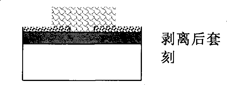 Method for manufacturing organic field effect transistor with bottom electrode structure